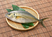 Свежая рыба / Fresh Fish MEGRA6_t