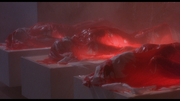 hellraiser2-14.png