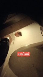IMG_4966.MP4_snapshot_01.14.254.jpg