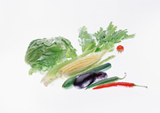 Сезонные овощи / Vegetables in Season MEH18R_t