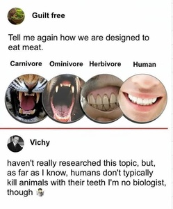 ylwE0Xak.jpg