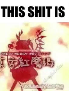 OY6d39Wn.jpg