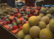 Урожай фруктов / Abundant Harvest of Fruit MEH31M_t