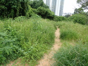 Hiking Tin Shui Wai 2023 July MEMG0I8_t