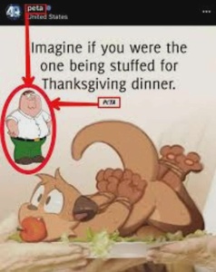 olHPo0En.jpg