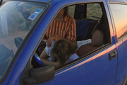 Public-BJ-in-car-015.JPG