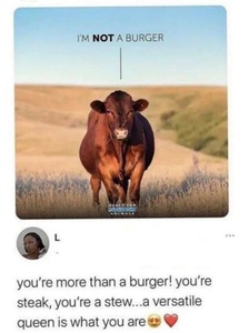 ktip2jt5.jpg