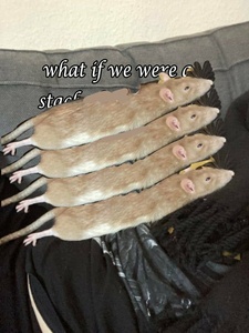 Y8Rnrbni.jpg