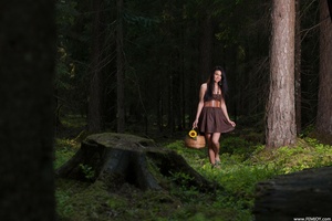 Permanent Link to 2011 12 08 Vera P Fairytale