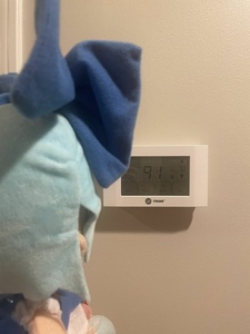 KWfKP5Dz.jpg