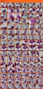 [Image: ME1973DP_t.jpg]