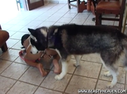 [Image: ME1AI6FD_t.png]