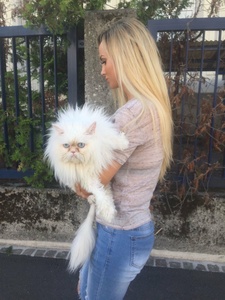 [Image: ME31L0G_t.jpg]