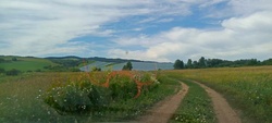 IMG-20250705-WA0011.jpg