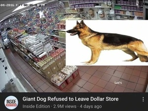 IqyfSJSE.jpg