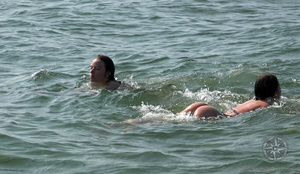 [Image: ME14KN0Z_t.jpg]