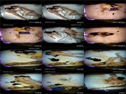 [Image: ME17WQF0_t.jpg]