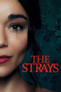 The Strays (2023) WEB-DL DV/HDR10 2160p EAC3 ITA ENG SUBS