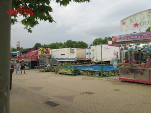 IMG_7817.jpg