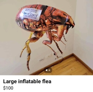 g0RUZsL0.jpg