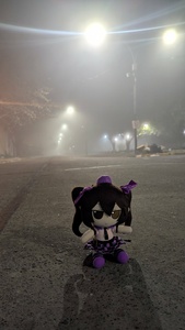 CatbrZJY.jpg