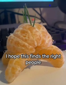 JPOVYXwn.jpg