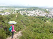 Hiking Tin Shui Wai 2023 July - 頁 2 MEP82BA_t