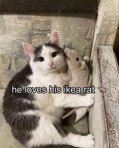 CSeeHQF7.jpg