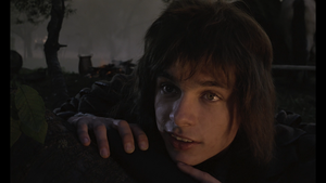 [Obrazek: MEQBN7K_t.png]