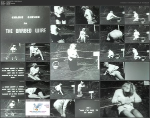 [Image: ME1AAJWF_t.jpg]