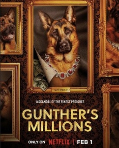 Gunthers Millionen S01E02 GERMAN DL 1080p WEB h264-SAUERKRAUT