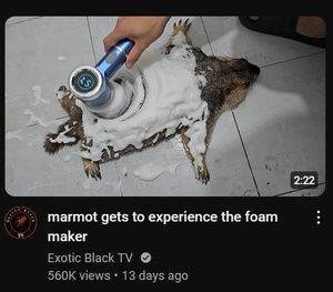R6tsqOLi.jpg