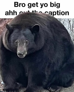 l7gTPxb1.jpg