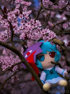eEYe45UC.jpg