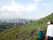 Hiking Tin Shui Wai 2023 July - 頁 2 MEP80FL_t
