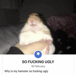 C4FY0zSN.jpg