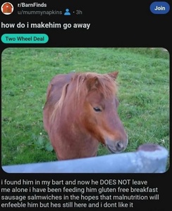 i50FHuMK.jpg