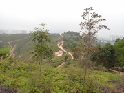 Hiking Tin Shui Wai 2024 MESJHHT_t