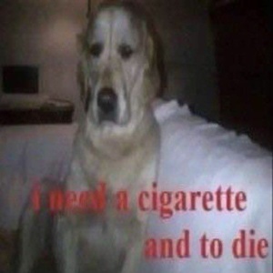 g5gs31Y0.jpg