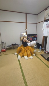 pFDI90on.jpg