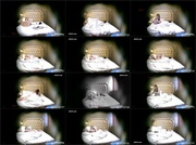 [Image: ME17WQEY_t.jpg]