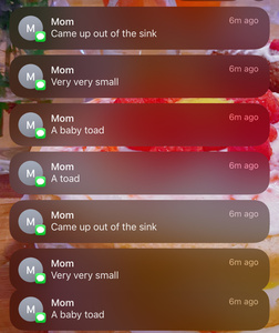 0ljSXwtI.jpg