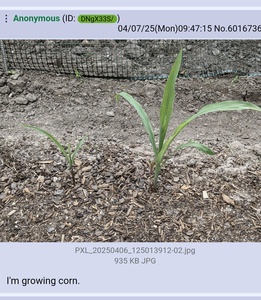 dmtvdroE.jpg