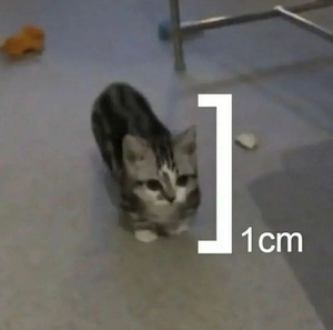 7PCeJAVJ.jpg