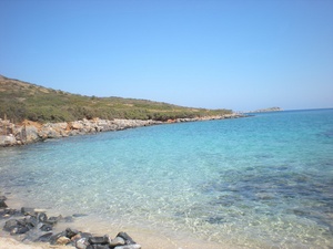 19804 (57).jpg