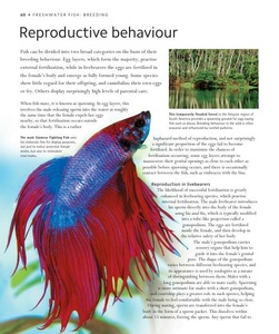 Encyclopedia of Aquarium and Pond Fish / David Alderton (PDF)