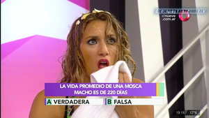 Mica.Viciconte.Huevos.Combate.1080P-ColitazTV.112.jpeg