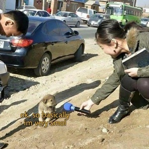 7u8QXFKv.jpg