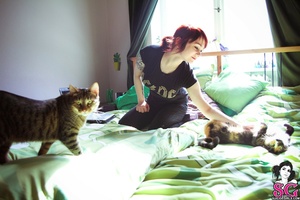 Permanent Link to 2011 07 21 – JessyJames – 9 lives