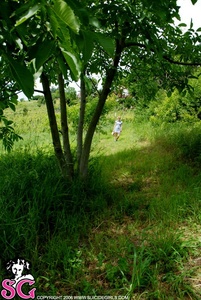 Permanent Link to 2006 08 26 – Cookie – Ants Attack